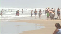 TLMD-Isla-Padre-31