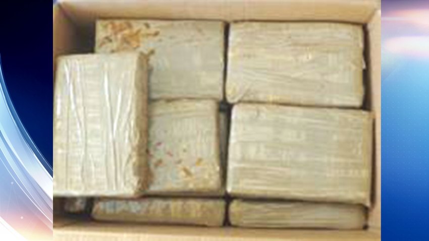 TLMD-cocaina-2