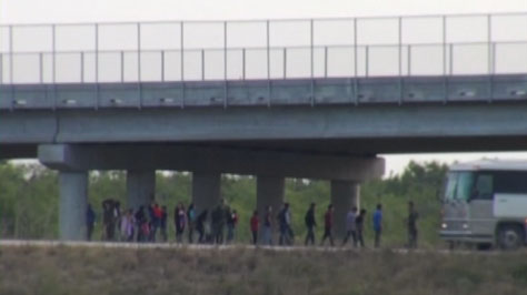 TLMD-inmigracion-cifras-Henry-cuellar-
