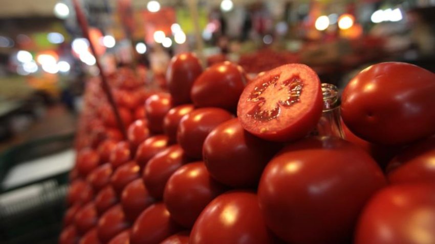mexico-tomate-jitomate-exportacion