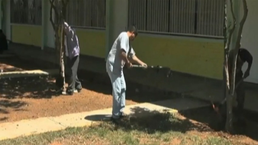 migrantes_voluntarios_servicio_comunidad