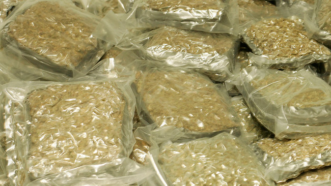 tlmd_marihuana_policia_mexico