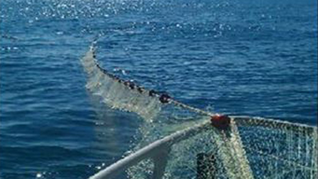 tlmd_tlmd_redes_pesca_ilegal_1