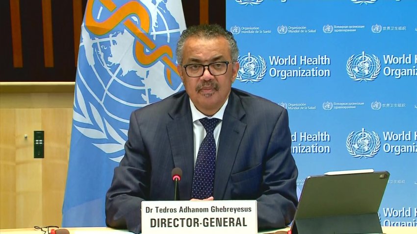 Lo que dice la OMS sobre la mutación del coronavirus en Reino Unido y Sudáfrica