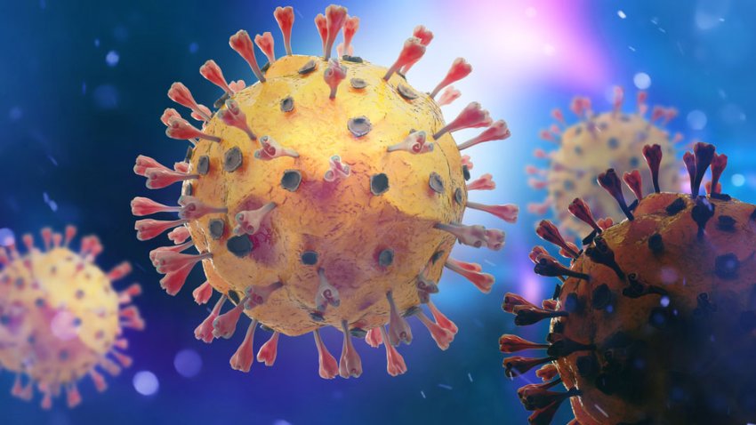 Coronavirus COVID-19  (Delta) strain under the microscope. (3d illustration)