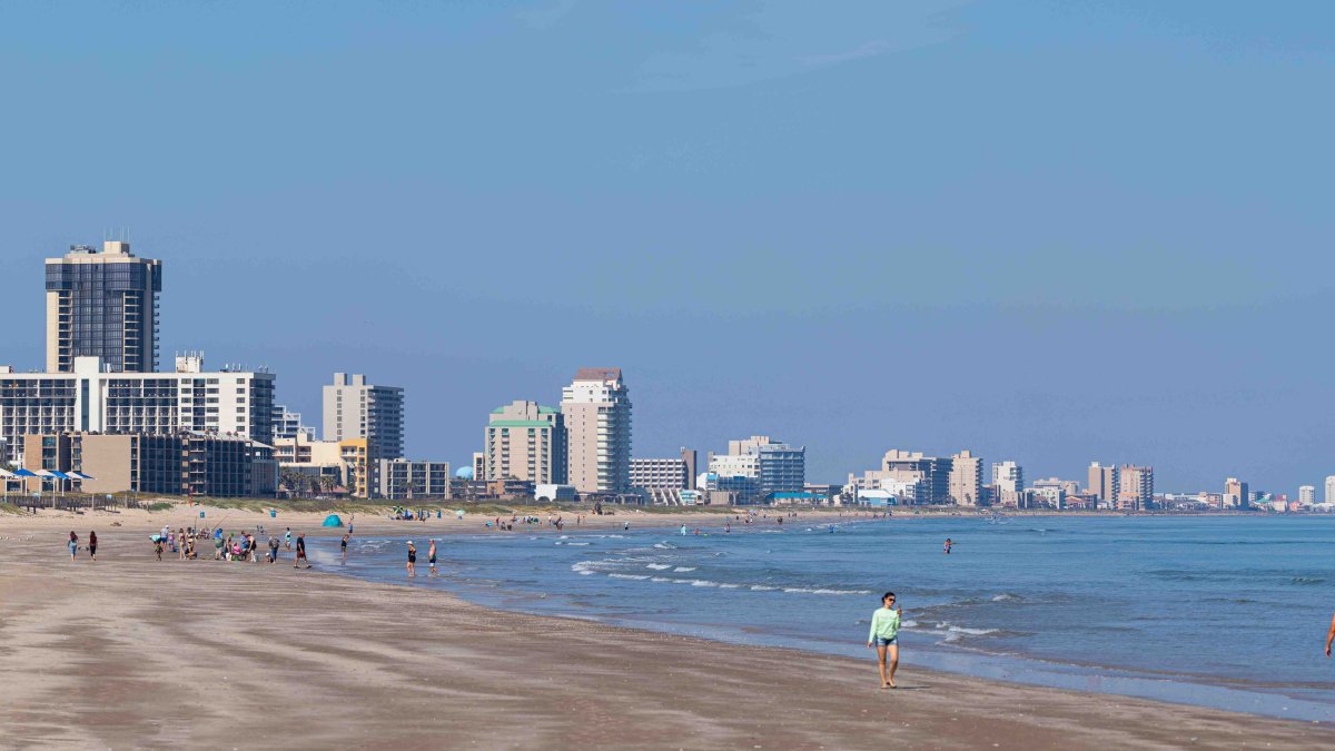 Sospechan de ataque de tiburón: bomberos de Isla del Padre Sur encuentran a  niña con heridas en el muslo – Telemundo McAllen (40)