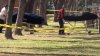 Policía de Edinburg investiga muertes tras tiroteo como un asesinato y un suicidio