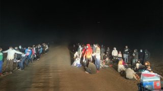 MIGRANTES EN LA GRULLA