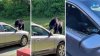 En video: sorprenden a oso hambriento devorándose combo de McDonald’s que robó de un auto