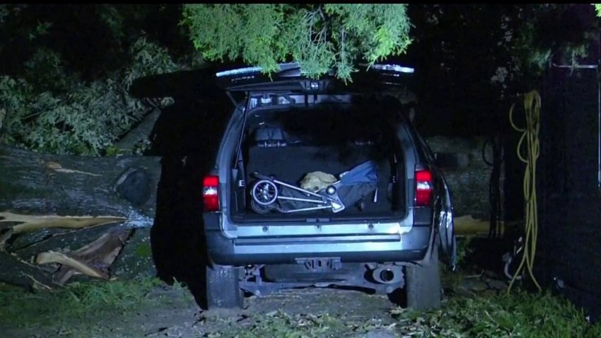 Lamentable: madre muere aplastada por árbol en medio de tormenta en Texas