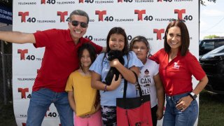 580 Mascotas lograron encontrar un hogar