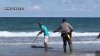 Caimán de 7.5 pies interrumpe tranquilidad de quienes disfrutaban día de playa en Isla del Padre Sur
