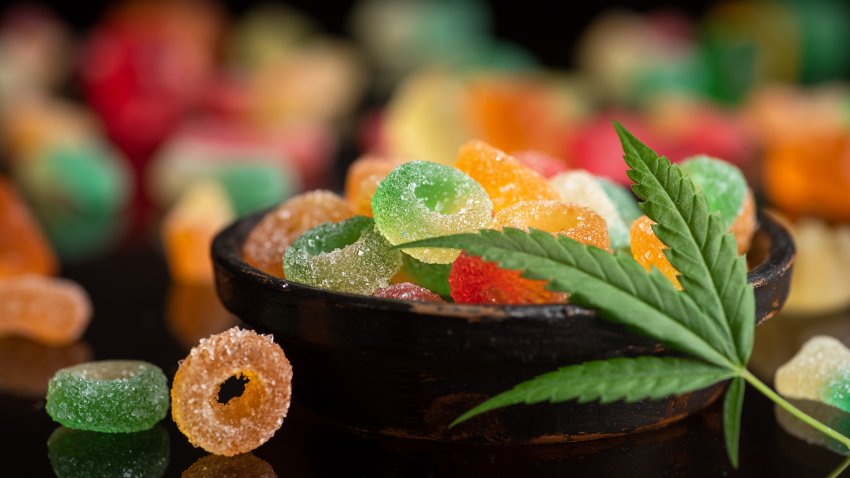 Colored gum candy jelly with marijuana leaves, on a black glass background. Sweet gummy candy with CBD, THC oil.