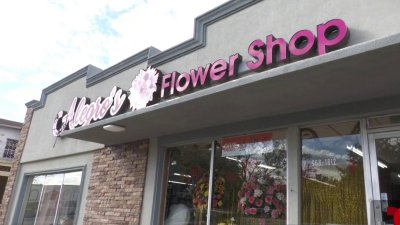 Dinero disponible para mejoras a negocios en Weslaco