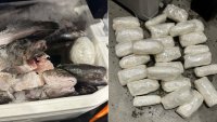 Droga entre pescados: hallan casi 50 libras de metanfetamina escondidas en una hielera