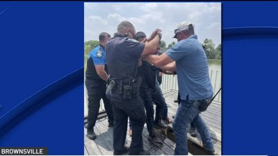 Hombre presuntamente usa martillo para robar en joyería de Brownsville y se lanza a resaca para huir de la policía