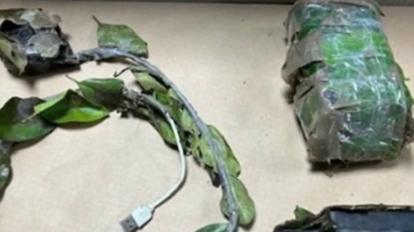 Ladrones esconden cámaras en jardines de sus víctimas