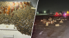 De película: camión que transportaba miles de abejas se vuelca en plena carretera
