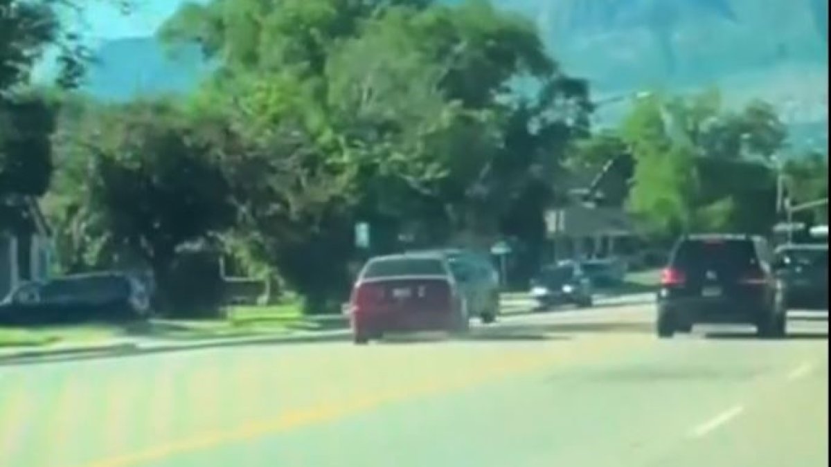 Ogden: conductor se queda dormido y choca con vivienda y autos ...