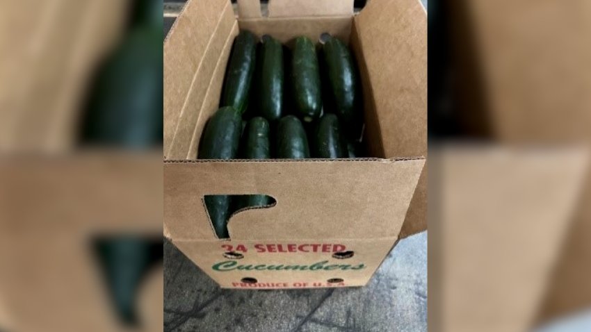 Cucumber recall