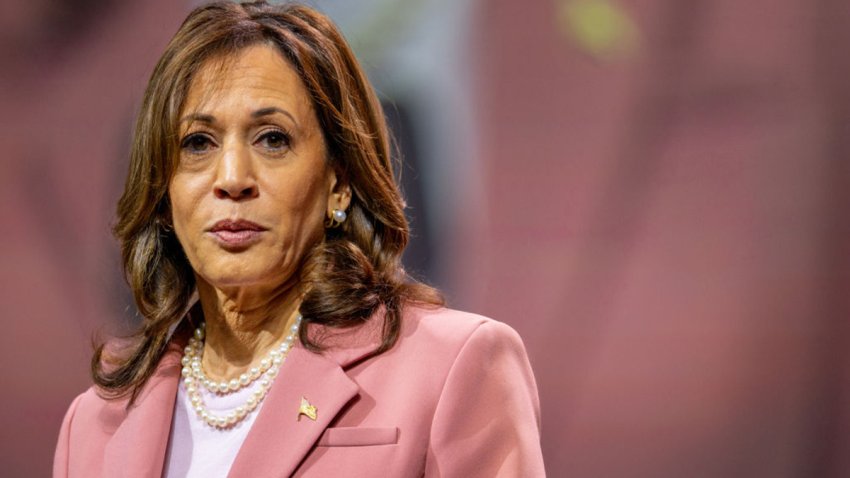 DALLAS, TEXAS – JULY 10: U.S. Vice President Kamala Harris speaks to members of the Alpha Kappa Alpha Sorority at the Kay Bailey Hutchison Convention Center on July 10, 2024 in Dallas, Texas. The Vice President spoke to approximately 20,000 members from her sorority in a continued effort to rally support ahead of the upcoming November Presidential election.  (Photo by Brandon Bell/Getty Images)