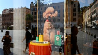 Los transeúntes se reflejan en el escaparate de una boutique de la casa de moda de lujo Dolce & Gabbana que exhibe su nuevo perfume para perros llamado "Fefé" en el centro de Roma, el 8 de agosto de 2024. Dolce & Gabbana ha lanzado una nueva fragancia para perros sin alcohol certificada como apta para uso animal llamada "Fefé" en honor a la mascota de Domenico Dolce. (Foto de Alberto PIZZOLI / AFP) (Foto de ALBERTO PIZZOLI/AFP vía Getty Images)