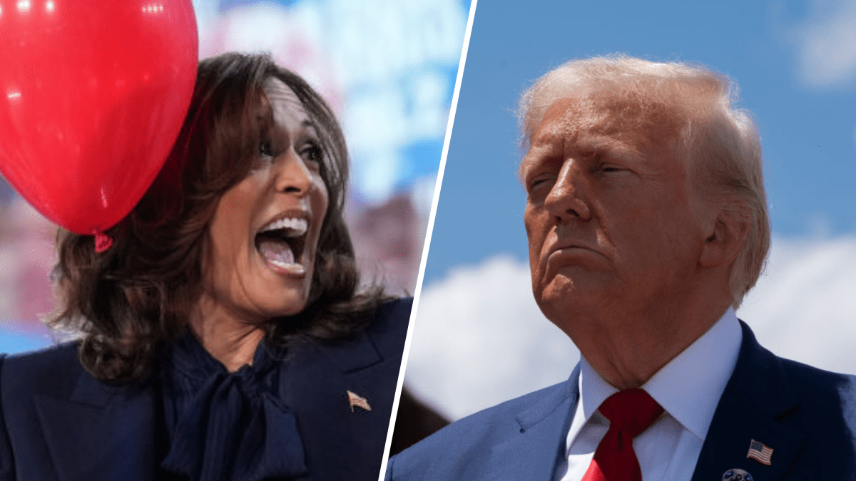 Donald Trump lashes out at Kamala Harris – Telemundo McAllen (40)