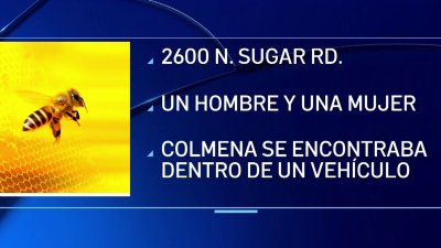 Dos personas en condición crítica por ataques de abejas en Edinburg