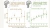 Ciencia: ¿tienen la misma estructura cerebral los votantes de izquierda y de derecha?