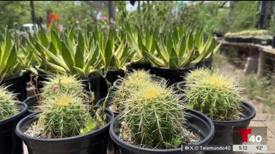 Un refugio para la conservación de la biodiversidad