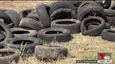 Vecinos se quejan de basurero clandestino en Mission