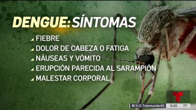 Detectan dos casos del virus del nilo y dengue en Cdo. Cameron