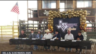 Anuncian fecha para el  RGV Livestock Show and Rodeo en Mercedes