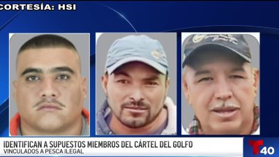 Identifican supuestos miembros de cártel vinculados a pesca ilegal en Golfo de México