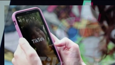 TikTok pide al Tribunal de Apelaciones que se frene su prohibición