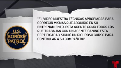 Sindicato de la Patrulla Fronteriza reacciona a presunto maltrato a agente canino en Falfurrias