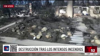 Así quedó Altadena, una ciudad fantasma, arrasada por las llamas