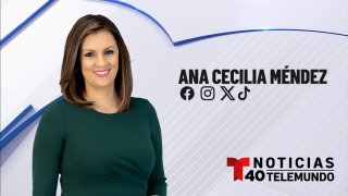 Ana Cecilia Méndez