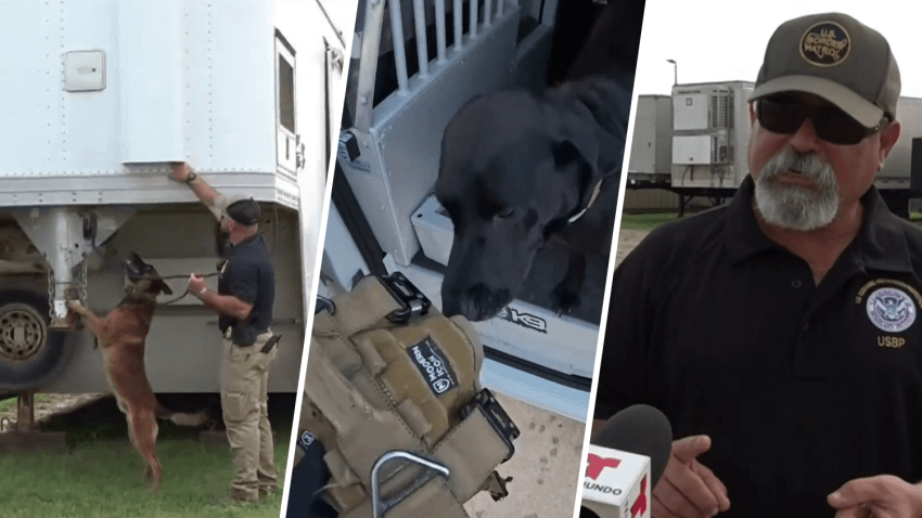 Entrenamiento para agentes K9 de la Patrulla Fronteriza