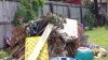 Colonia en Pharr denuncia mal estado de calles y acumulación de basura