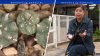 Lucha para preservar el cactus alucinógeno peyote en Condado Starr