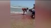 A un año del ataque del tiburón ocurrido en la Isla del Padre sur