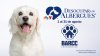 Desocupar los Albergues 2026: Brownsville Animal Regulation and Care Center