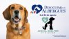 Desocupar los Albergues 2026: Harlingen Animal Shelter