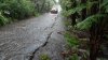 Lala se debilita a tormenta tropical y deja al menos un muerto a su paso por Hawaii