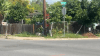 Atropello provoca muerte de un ciclista en Brownsville